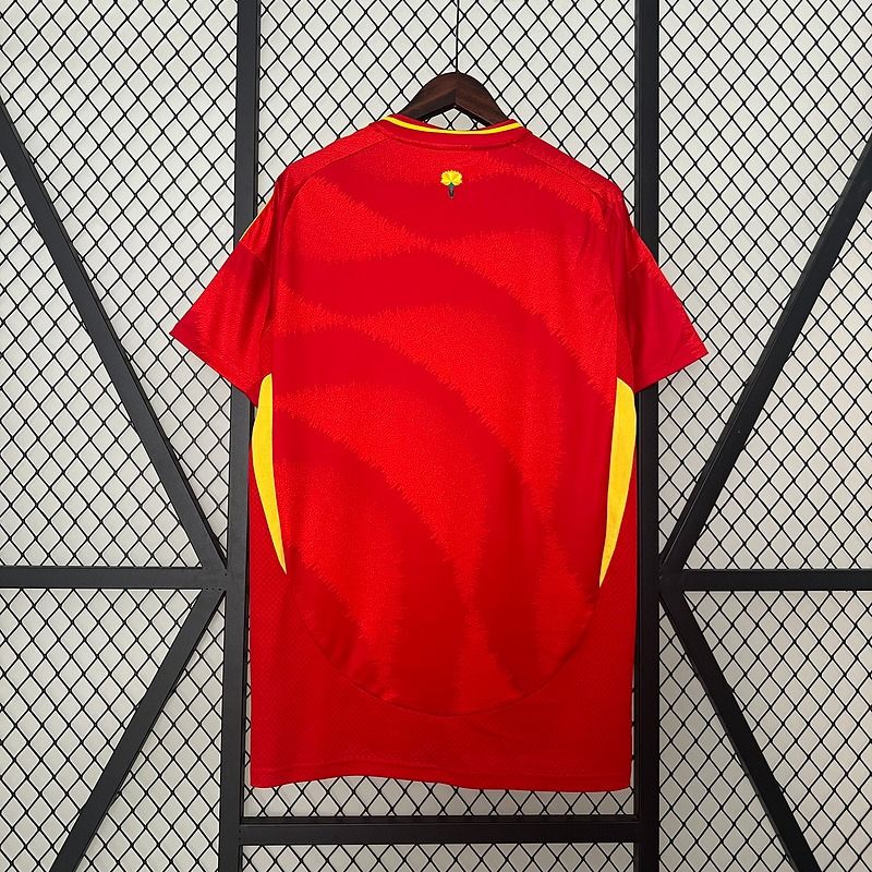 Spain national 2024 home