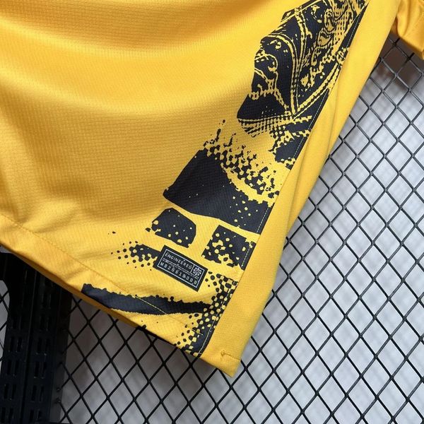 Inter Milano 2024-2025 third away Fan