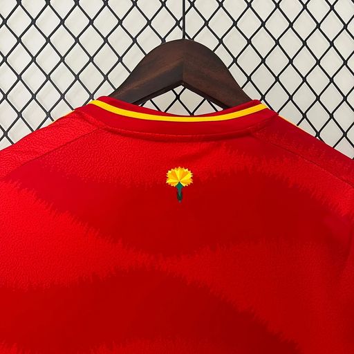 Spain national 2024 home