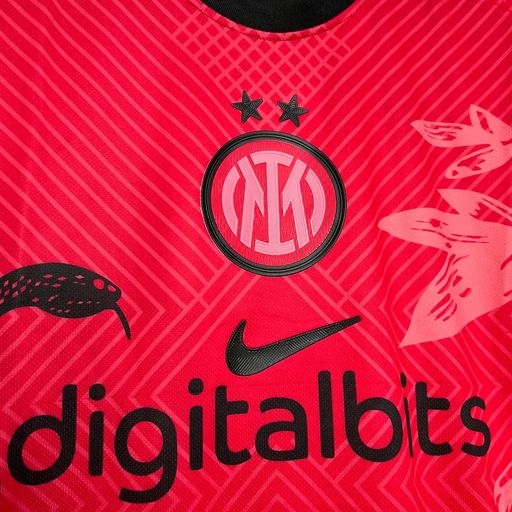 Inter Milano 2024-2025 Snake Version Fan